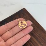 پلاک کره زمین - Image 2