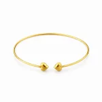 بنگل دو قلب