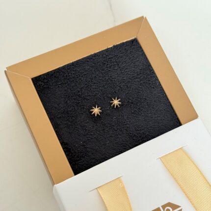 گوشواره میخی کد 350