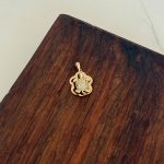 پلاک لاکپشت سنگی