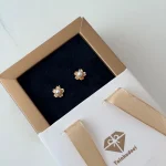 گوشواره میخی برگ مرواریدی کد 62